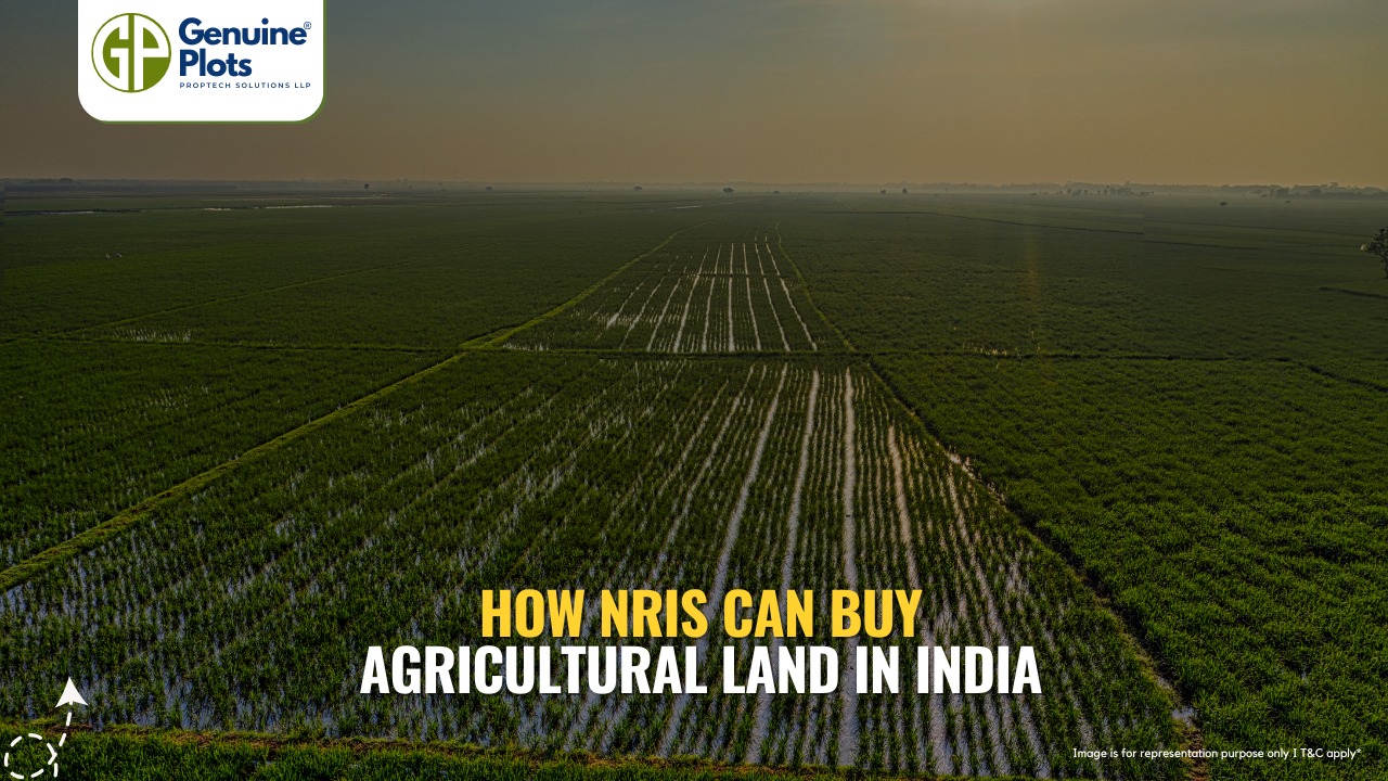 How NRIs Can Buy Agricultural Land in India